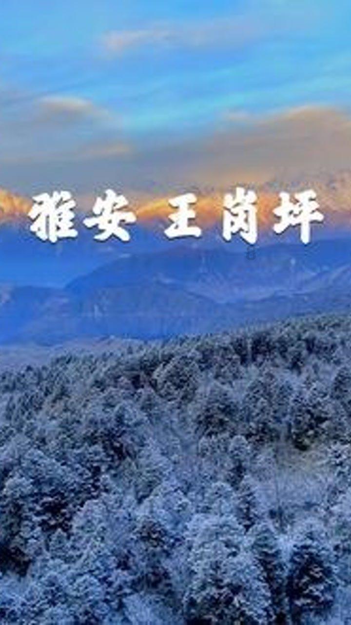 聚焦丨现代社会的阅读与阅读行为