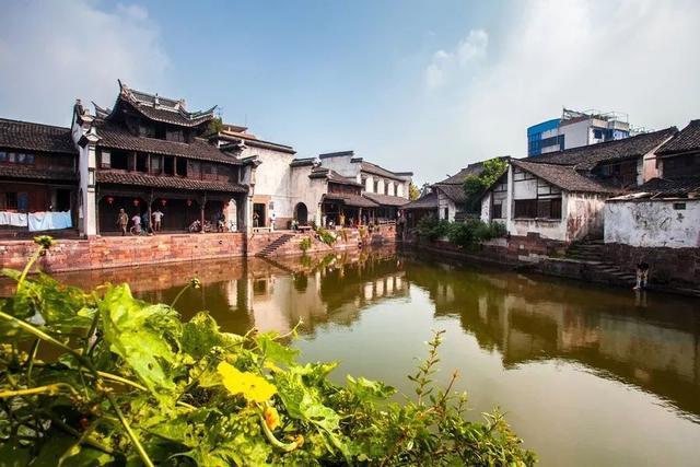 吃素可以减肥吗？游戏画面